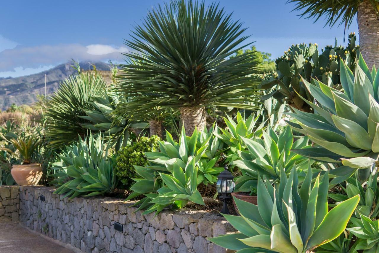 La Casa Del Campo Villa Vega de San Mateo Luaran gambar